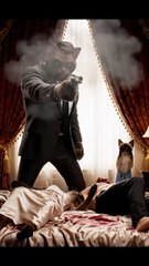 Heartbreak in the Cat Kingdom 💔 | When Love Turns Into Pain 😿