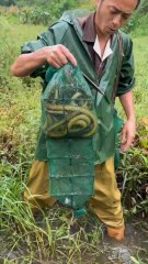 "Unbelievable Chinese Fish Catching Techniques That Will Blow Your Mind! 🎣🐟"