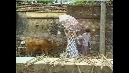 Đình Văn, Tài Linh - Cô Thắm về quê hương [OFFICIAL MV] [4K HD REMASTERED]