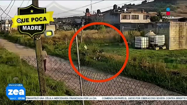 Perros atacan a mujer que caminaba en San Pablo Autopan, Toluca | Noticias con Francisco Zea