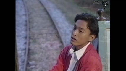 Lam Trường - Tình bạn [OFFICIAL MV] [4K HD REMASTERED]