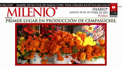 Flor de Día de Muertos: Puebla encabeza producción nacional