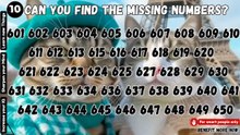 Can you find the missing numbers? (P.12) 🔢