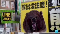 Japon : l'armée mobilisée contre les ours noirs