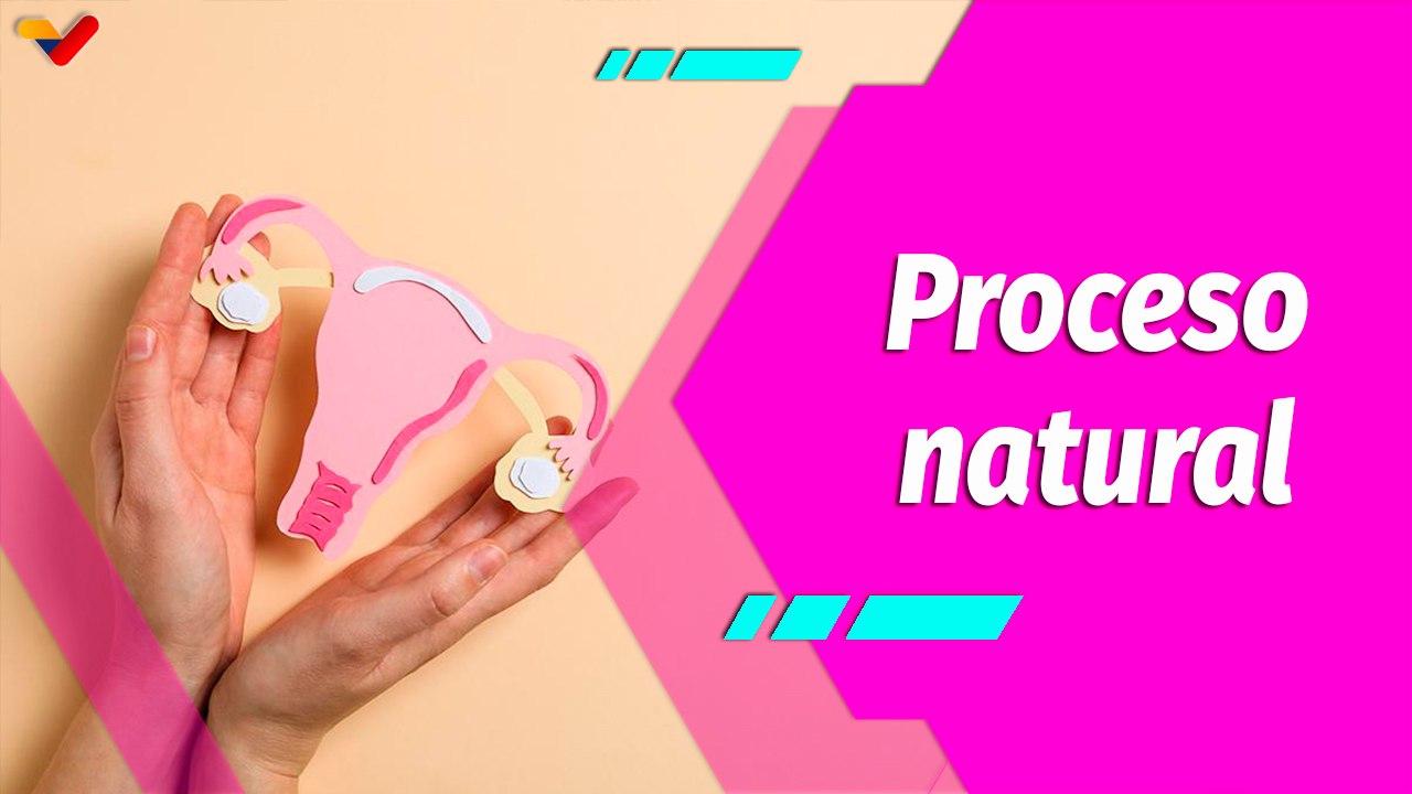 Buena Vibra | Día Mundial de la Menarquia: Un llamado a la conciencia y la empatía