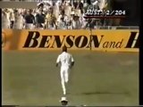 1984 Australia vs West Indies, 5th Test at Sydney