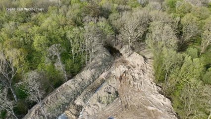 Hoads Woods identified in a House of Lords inquiry into flytipping across the country