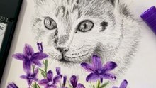 Dessin d'un chat au crayon graphite et à l'aquarelle