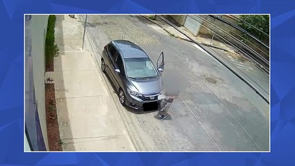 Homem furta 14 plantas de colégio particular em BH