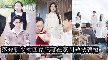 The chubby girl saved a fallen CEO; he fell for her warmth and purity