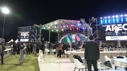 APEC CEO 서밋, 환영 만찬으로 개막...최태원 "인류에 진정한 기여할 것" / YTN