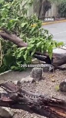 'Melissa' toca tierra en Jamaica como huracán categoría 5