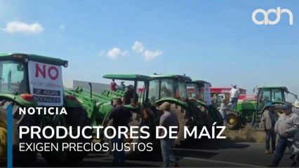 Productores de maíz protestan: exigen $7,200 por tonelada para cubrir costos de producción