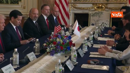 Premier Giappone dona a Trump 250 ciliegi e fuochi d'artificio per anniversario fondazione Usa