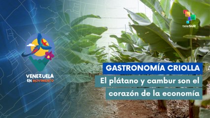 Familias aragüeñas cultivan con esfuerzo y orgullo