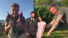 David Beckham Pesara Bahagia Tenang Berkebun