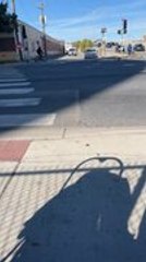 Driver Accidentally Mounts Car Onto Fallen Lighting Pole