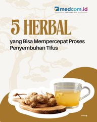 Ini 5 Herbal yang Bisa Mempercepat Proses Penyembuhan Sakit Tifus