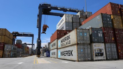 Gabinete aprueba creación del programa de verificación de carga contenerizada