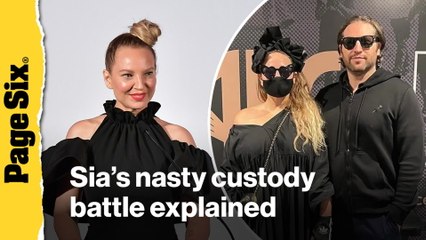 Sia's nasty custody battle explained — drugs, child porn and more shocking allegations