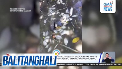 Mga isda, nalason ng kemikal mula sa lagoon ng waste materials ng isang kompanya; libo-libong mangingisda, apektado | Balitanghali