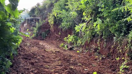 Maximizing Plantation Road Durability with the D6R XL Bulldozer