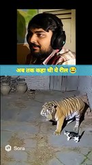 शेर_एक_बिल्ली_से_डर_गया😂।#shorts_#cat_#funny