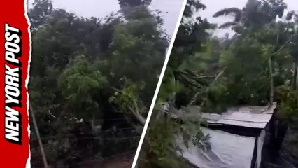 Fierce winds from Hurricane Melissa topple trees, power lines