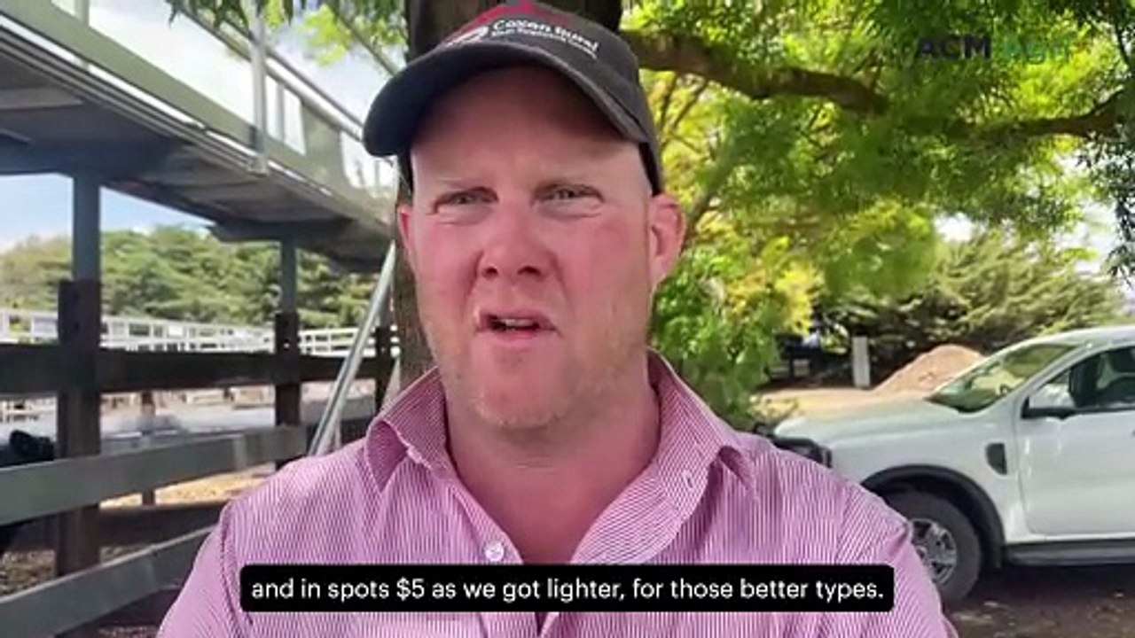 'As good as you'd see it': Local restockers bolster Kyneton sale