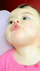 66230055-7b9b-495b-8bba-70bcd08410c7