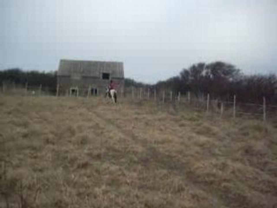 DSCN0415