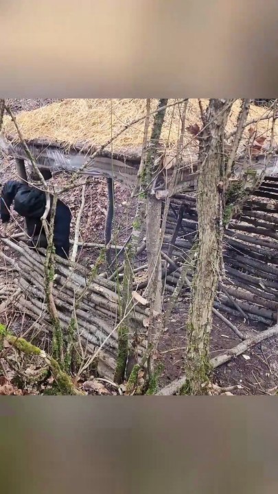 Build a house in the woods and survive the winter. P2