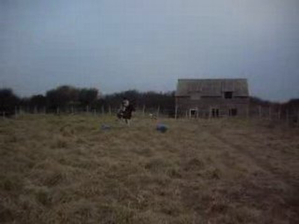 DSCN0416