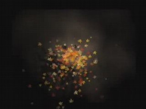 Naissance jeanne-H.264 300 Kbps diffusion en continu