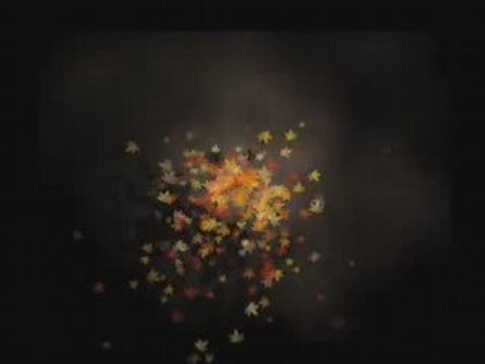 Naissance jeanne-H.264 300 Kbps diffusion en continu