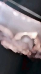 %F0%9F%92%96%F0%9D%9F%8F%F0%9D%9F%8E%F0%9D%9F%8E%F0%9D%90%8A+%F0%9D%90%8E+%21+%F0%9D%9F%8F%F0%9D%9F%8E%F0%9D%90%8A+%E2%80%A2+%F0%9D%9F%91%F0%9D%9F%8E%F0%9D%90%8A+%E2%86%92%F0%9D%9F%93%F0%9D%9F%8E%F0%9D%90%8A%E2%9C%85.....+.+.+.+.+