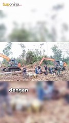 Polda Riau Tangkap Pembuka Lahan Ilegal di Kawasan Hutan Bengkalis