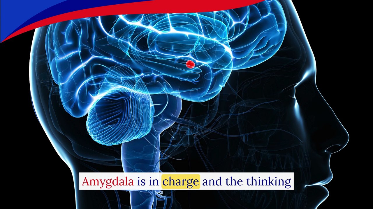 What Are Tantrums & Why Do They Happen  Understanding Child Behavior  CAPAAR _ Best Autism Centre in Bangalore
