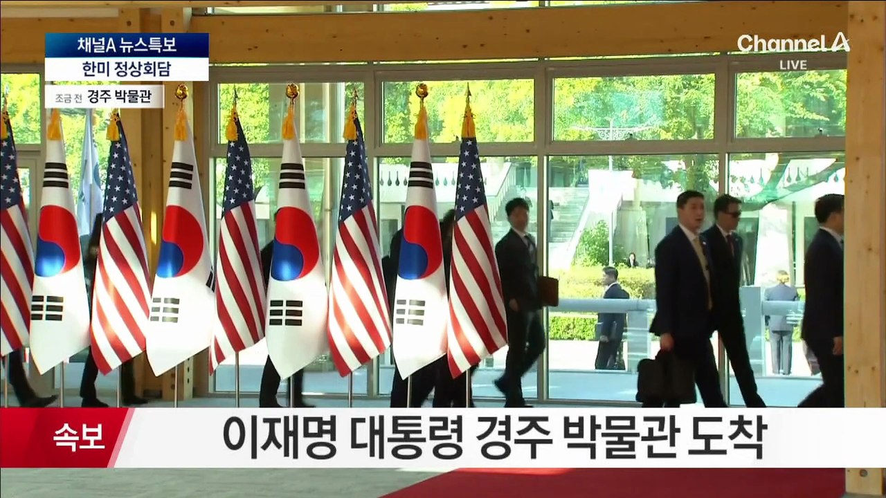 이 대통령, 한미 정상회담 입구서 트럼프 美대통령 마중