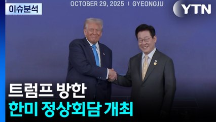 [뉴스퀘어 2PM] 트럼프 방한, 한미 정상회담 개최 / YTN