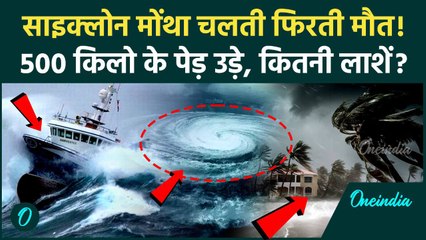 Cyclone Montha Update: चक्रवाती तूफान Montha से कितनी मौतें हुई, हज़ारों किलो के पेड़ उखड़े, कहां तबाही