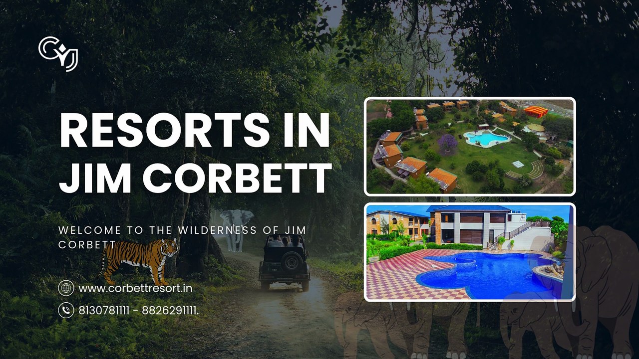Discover the Best Resorts in Jim Corbett: Where Luxury Meets the Wild