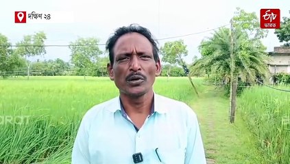 সরকার কেনার দু'দিন আগেই 'পাকা ধানে মই' মন্থার, মাথায় হাত চাষীদের