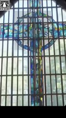 🍏💚☪️🔲🏳️🔥 11.01 🌹 11.04 Bound by Honor dailymotion 🌐x9sukoa