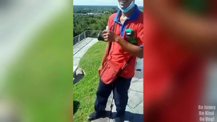 TRY NOT TO LAUGH 😆 Best Funny Videos 😂 Funniest Memes Compilation PART 254