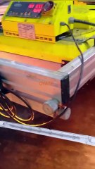 1000W Infrared Heater Electric Heater 1000w infrared heater lamp 1000W infrared heating bulb