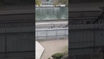 Louvre thieves caught on video escaping using a cherry picker and bike