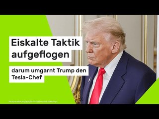 Elon Musk: Eiskalte Taktik aufgeflogen - darum umgarnt Trump den Tesla-Chef