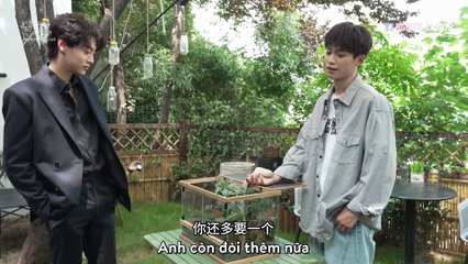 Vietsub Hậu trường ngày 12/08/2024 - Phần 1 → 6