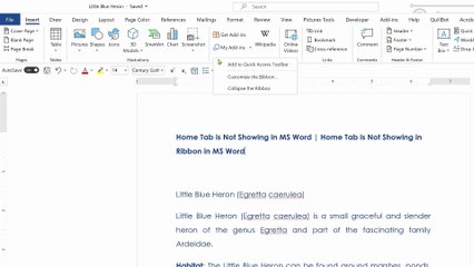 Home Tab is Not Showing in MS Word